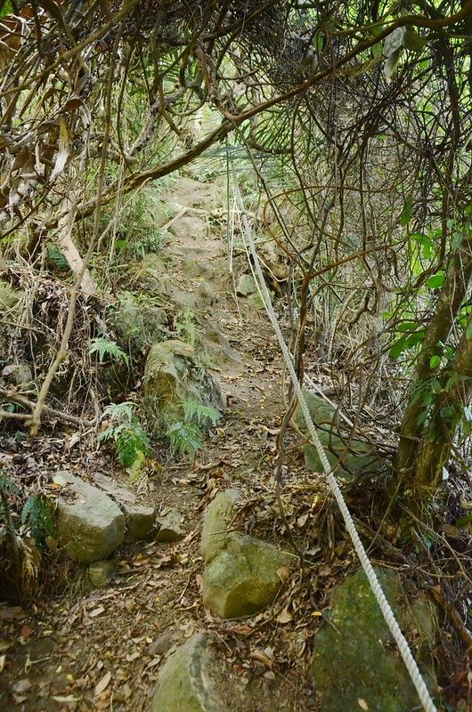 金童山登山山徑