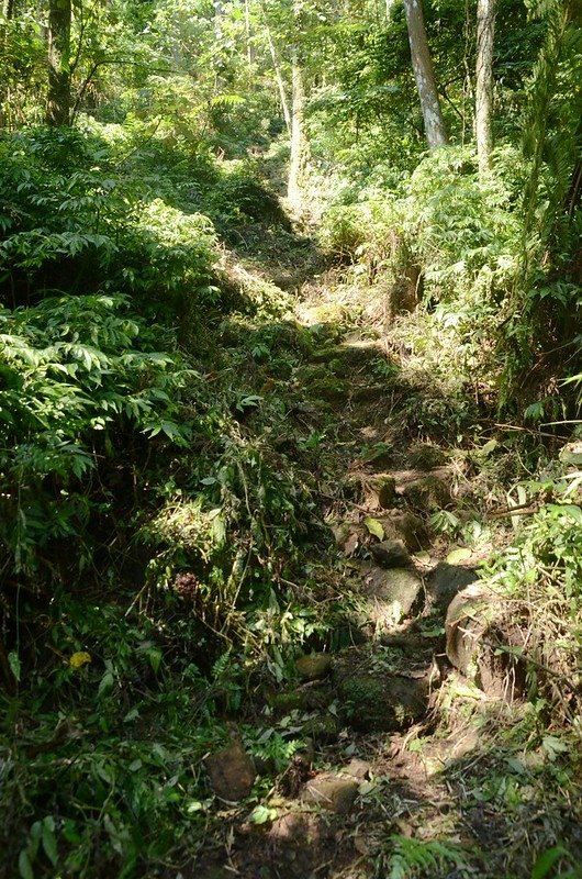 觀音山登山步道