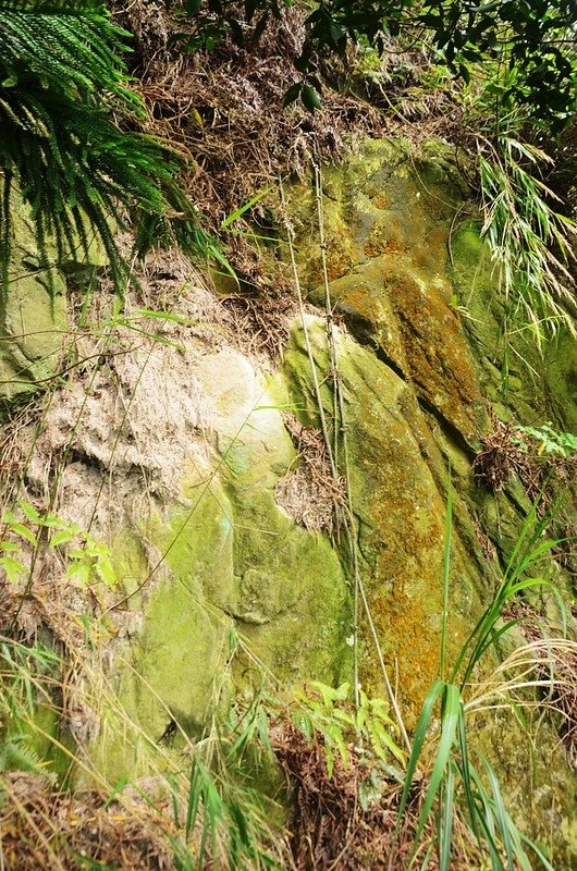 石觀音山峭壁拉繩段 (2)