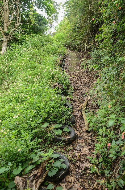 外獅潭山登山路徑