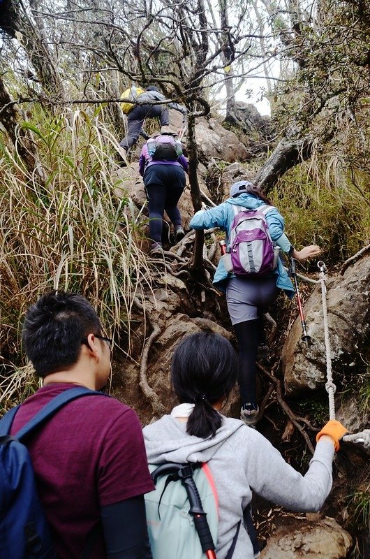 加里山拉繩陡登路段 (8)