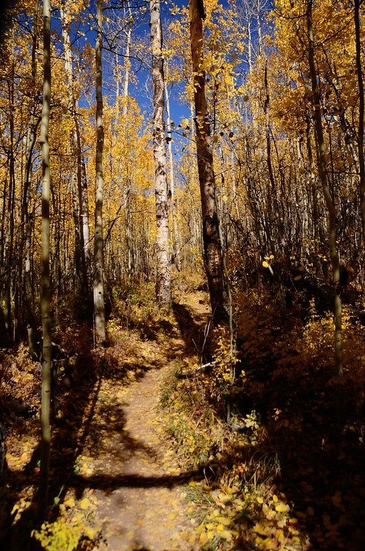 Fall foliage hike at Colorado Trail, Kenosha Pass  (114)