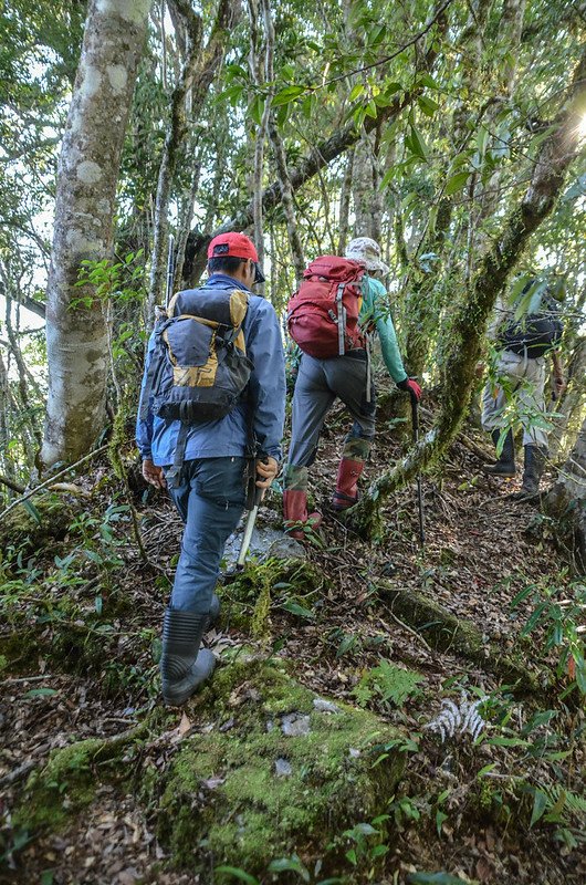 江坡古山稜線路徑 1