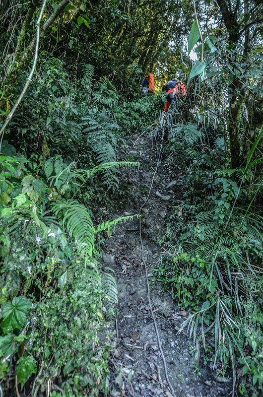 戒茂斯山登山口 3