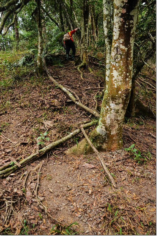 歐帕喀爾山陡登路段