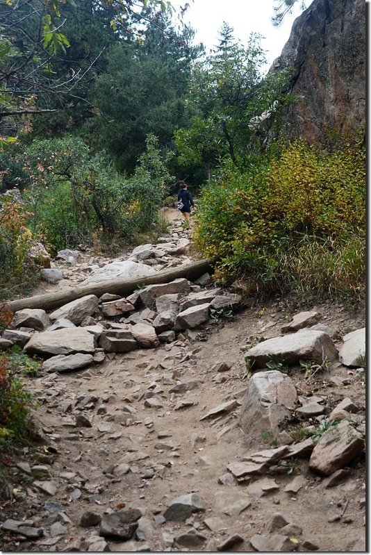 Plymouth Creek Trail, Deer Creek Canyon Park (14)