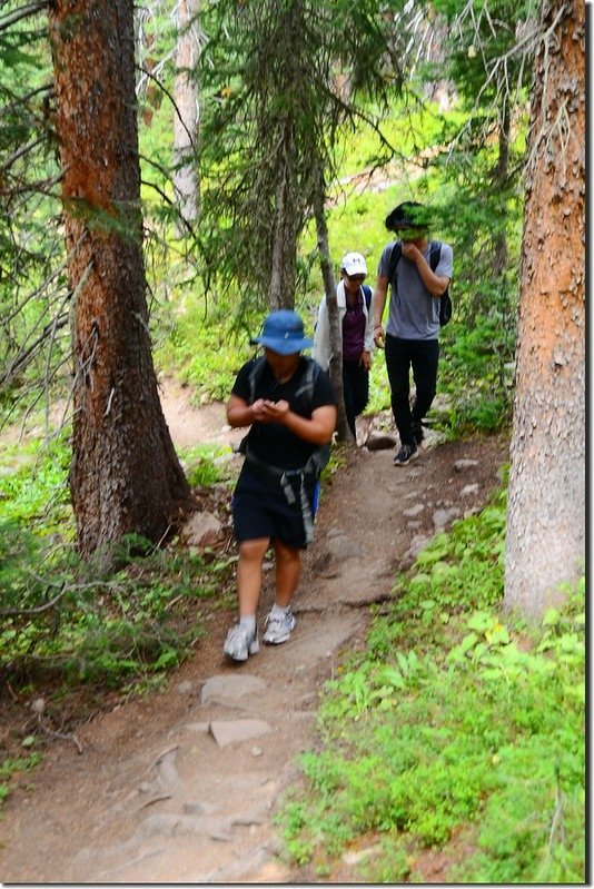 Columbine Lake Trail (1)