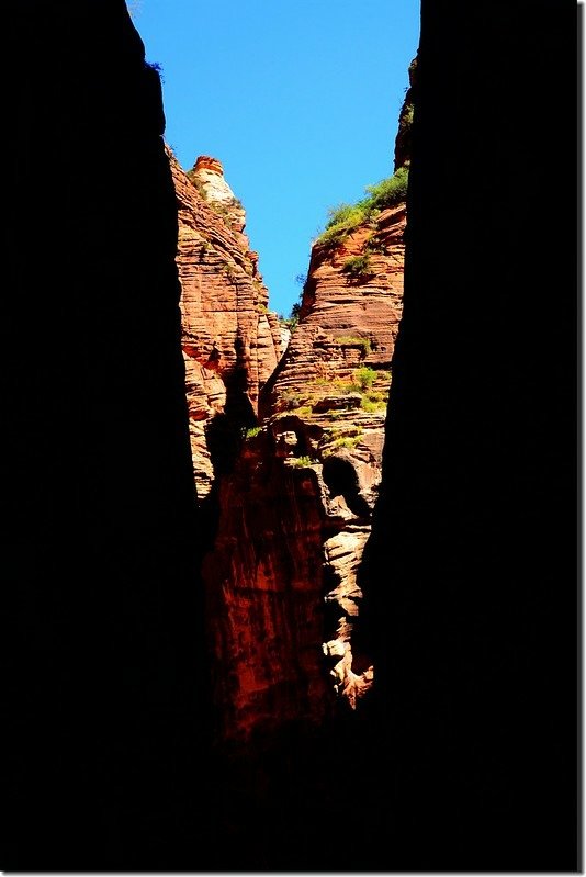 The Narrows, Zion National Park (35)