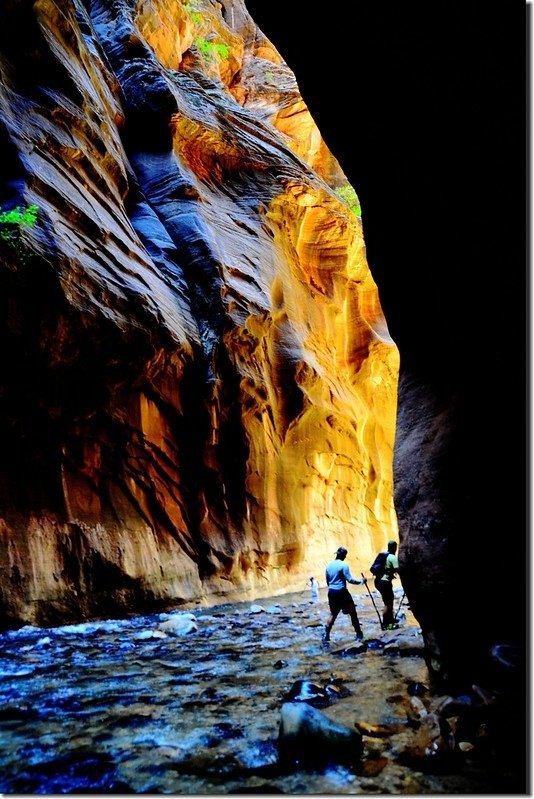 The Narrows, Zion National Park (53)