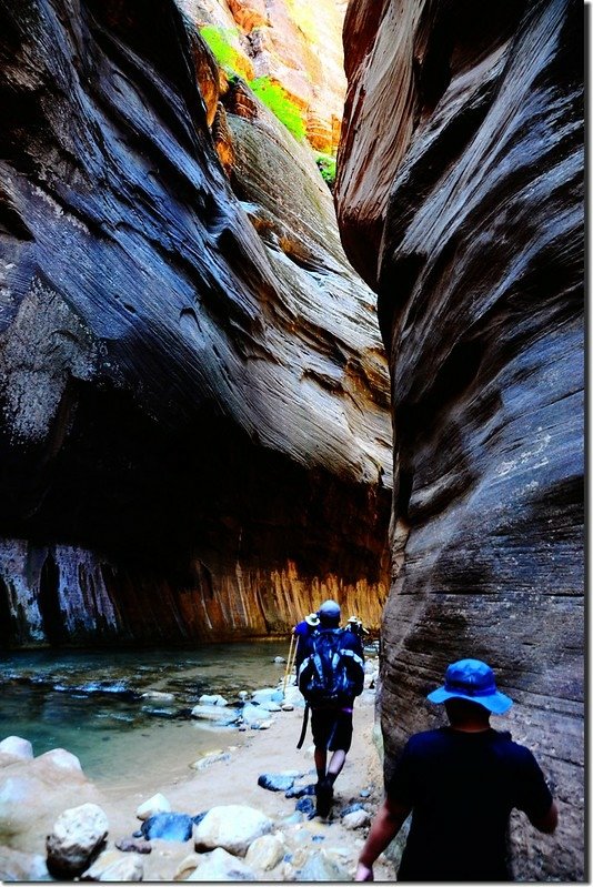 The Narrows, Zion National Park (48)