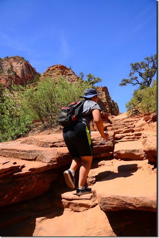 Canyon Overlook trail (1)