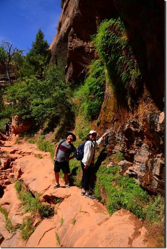 Canyon Overlook trail (3)