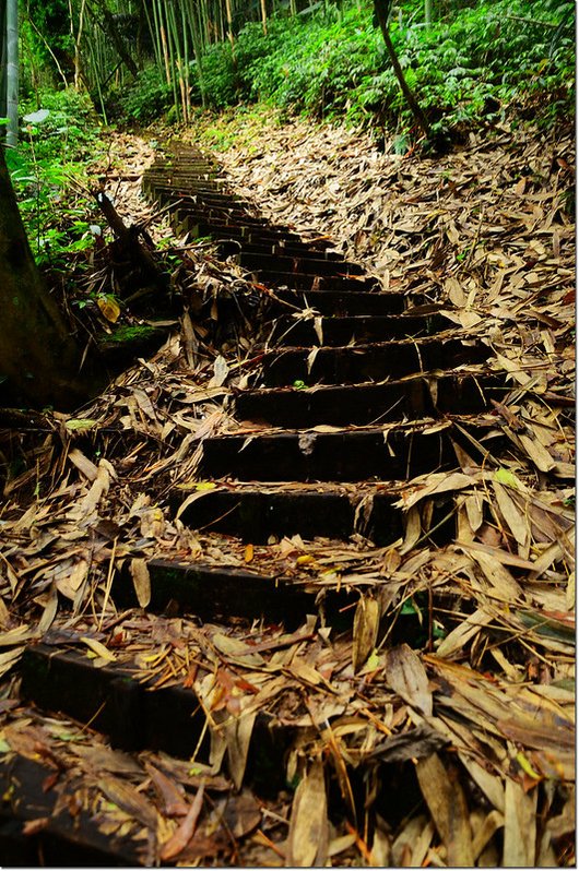 奮瑞古道 (2)