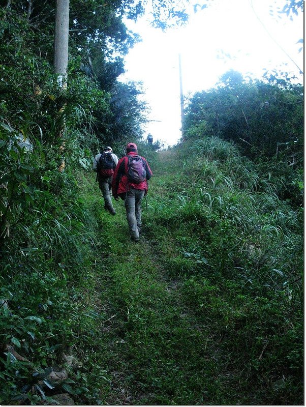 北里龍山小產道