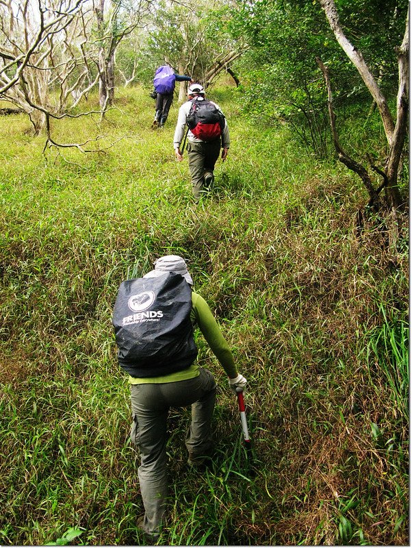 霧里乙山登山口 2