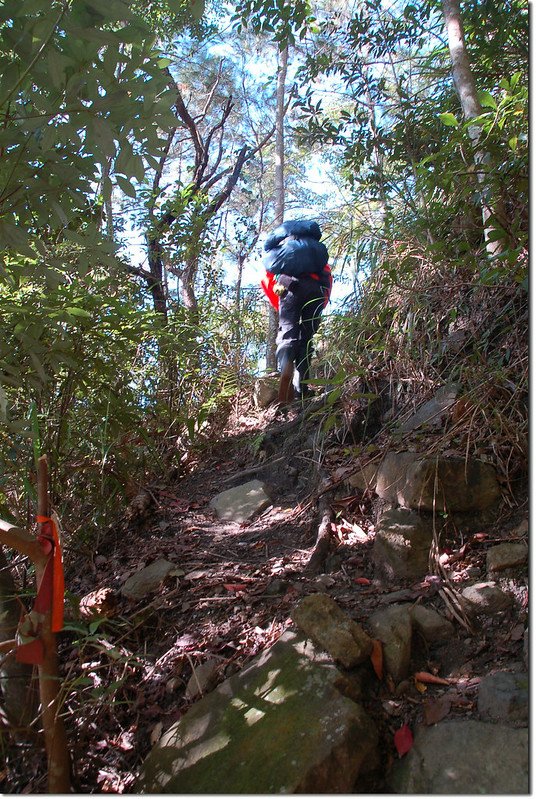 白毛山登山小徑