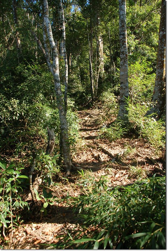 白毛山稜線登山小徑