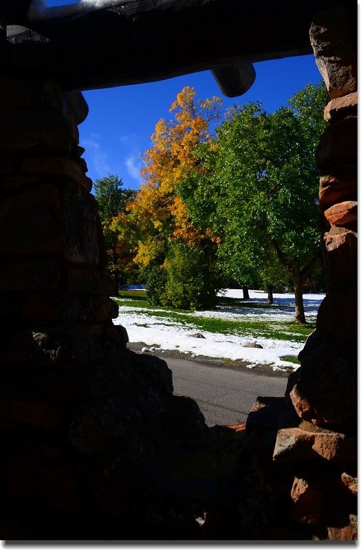 2017 Maple in Fall, Boulder, Colorado  (7)