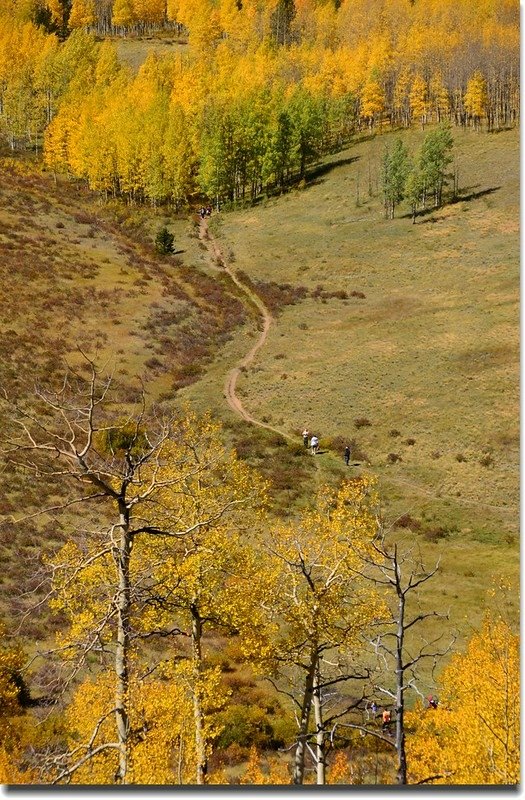 Fall colors, Kenosha Pass  (16)