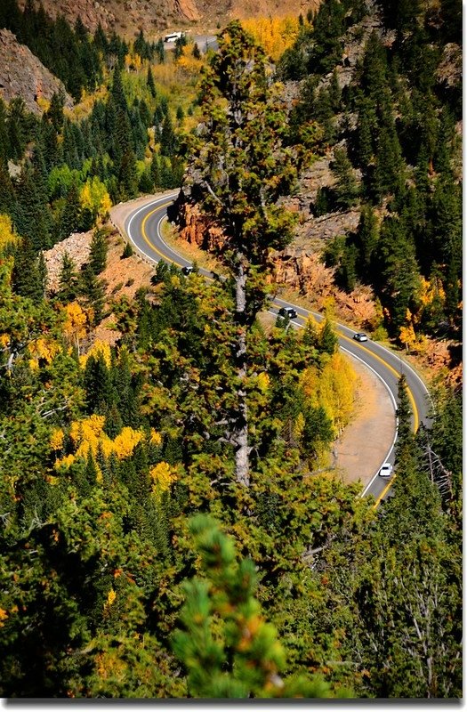 Fall colors, Mount Evans Scenic Byway, Colorado (37)