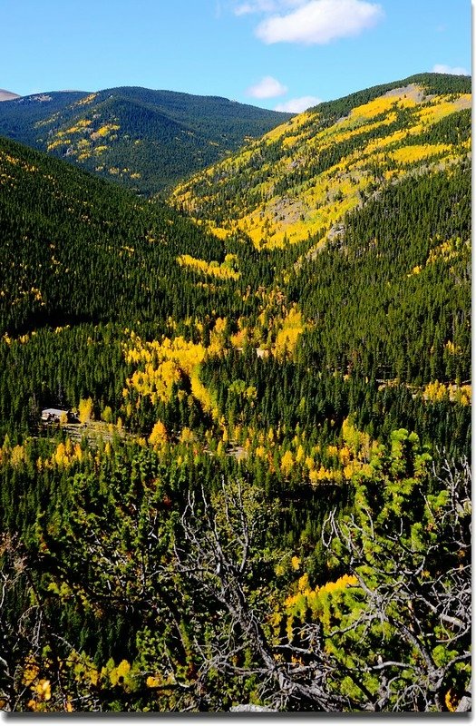 Fall colors, Mount Evans Scenic Byway, Colorado (33)