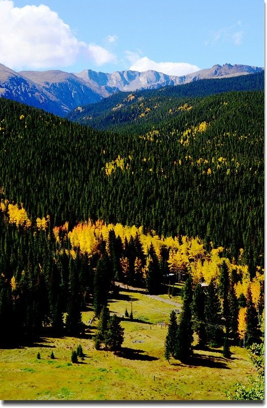 Fall colors, Mount Evans Scenic Byway, Colorado (45)