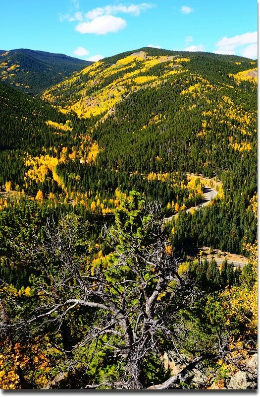 Fall colors, Mount Evans Scenic Byway, Colorado (32)