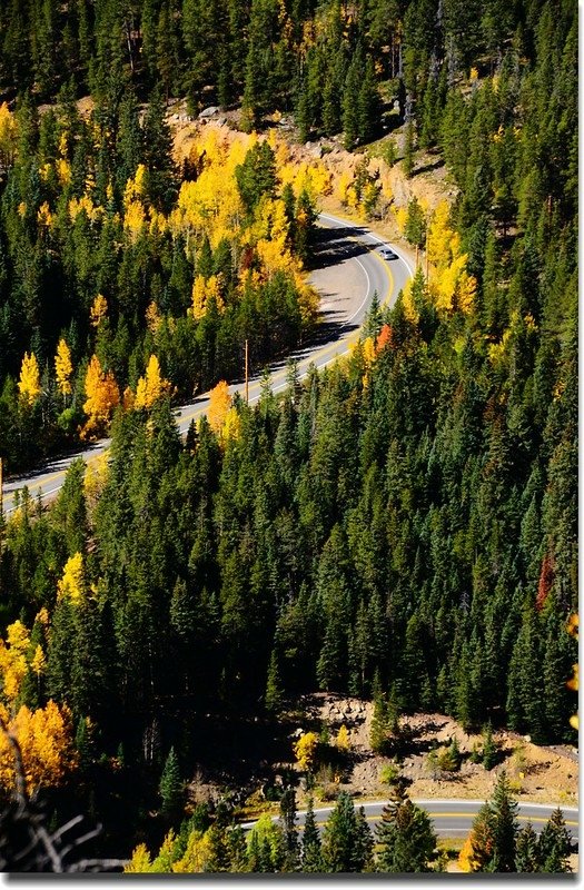 Fall colors, Mount Evans Scenic Byway, Colorado (35)