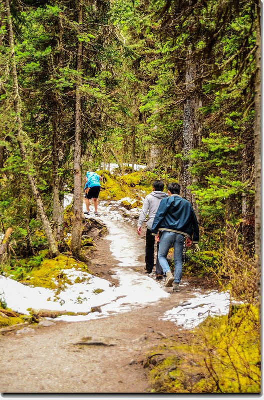 Fairview Lookout  trail