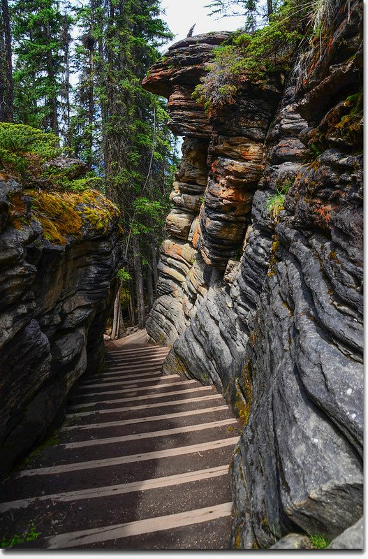 Athabasca Falls  (12)