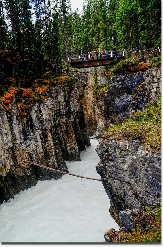 Sunwapta Falls  (9)