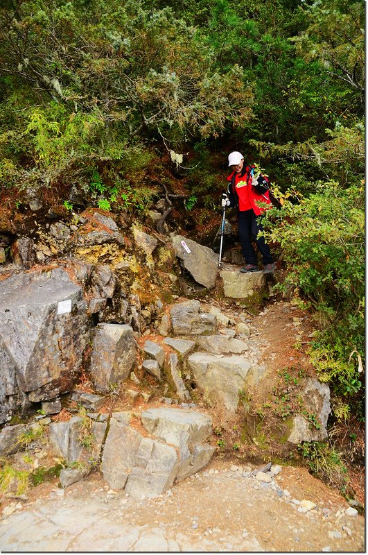 玉山前峰登山口