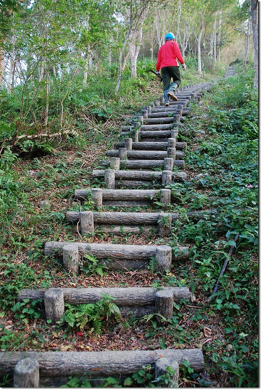 枕頭山步道 2