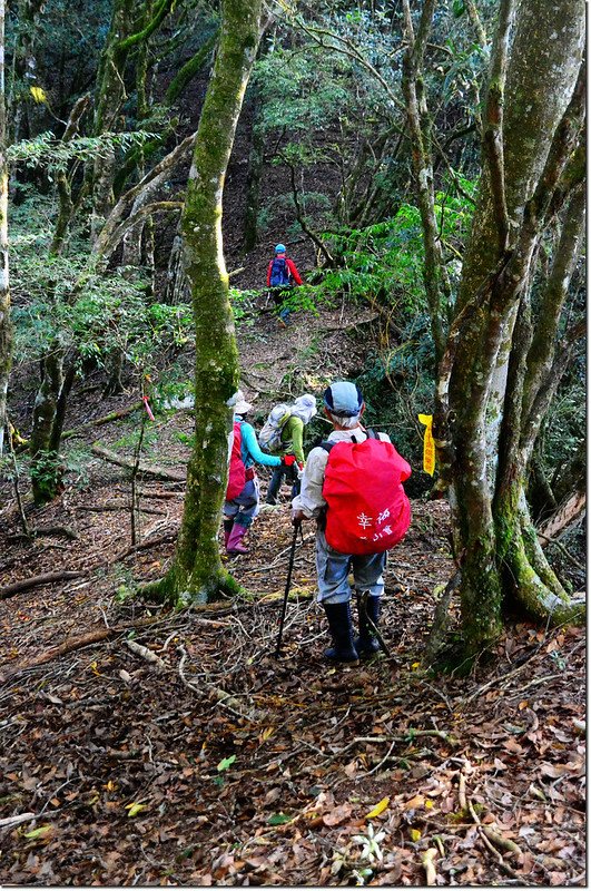 焦土山登山路徑 4