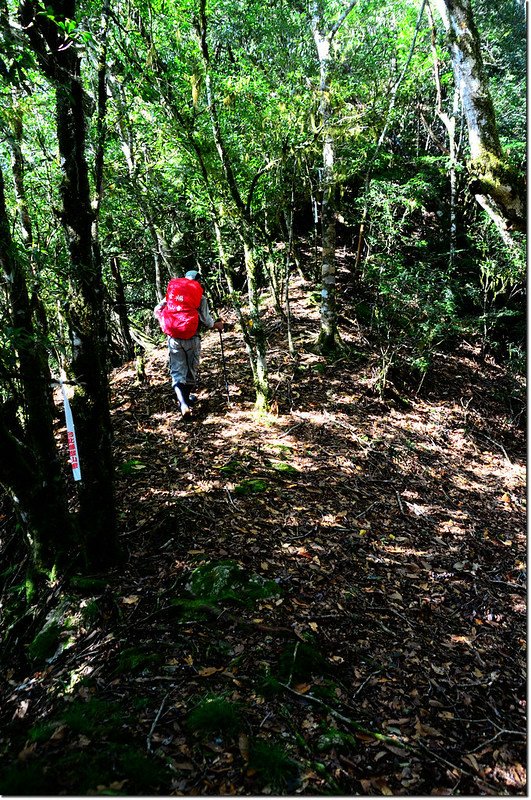 焦土山登山路徑瘦稜路段 1