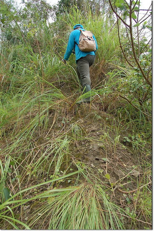 籠子內山登山路徑