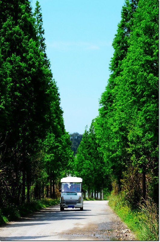 婺源思溪延村園區電瓶車