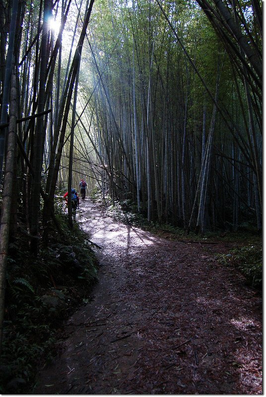 足鉾安山南峰登山步道 1