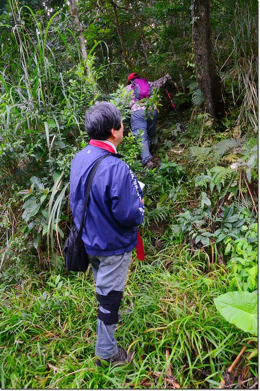 新港南溪山登山路徑 1