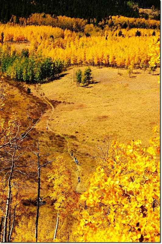 Fall colors at Kenosha Pass, Colorado (27)