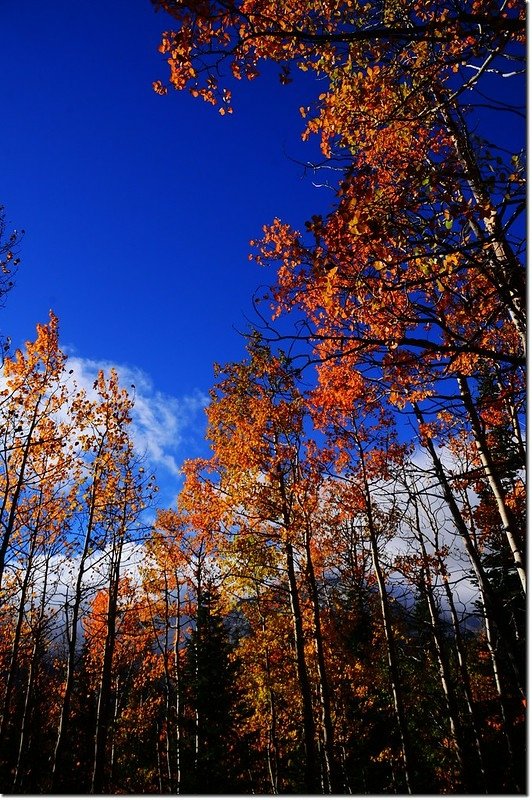 2015 Rockies in Fall, Bear Lake Area (3)