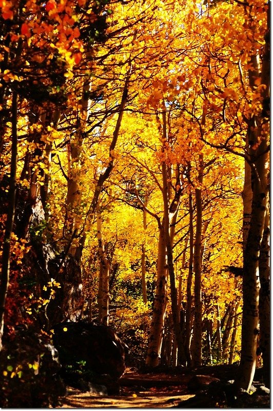 2015 Rockies in Fall, Bear Lake Area (4)