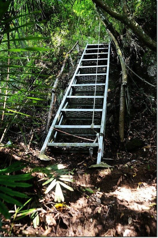 鷂婆山登山步道 2