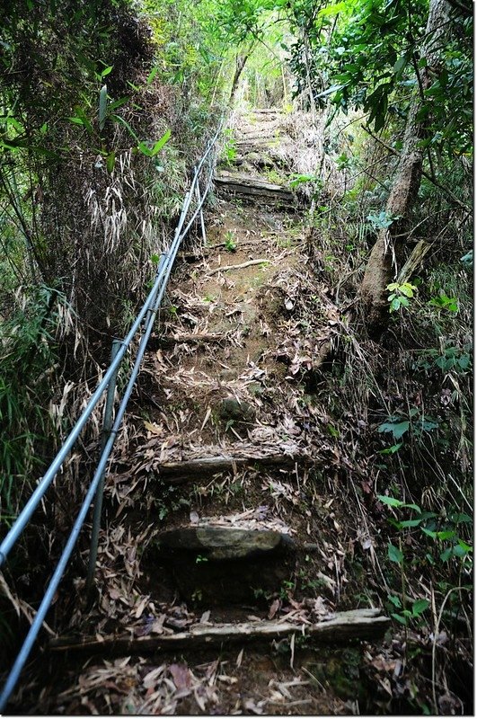 新寮山登山步道