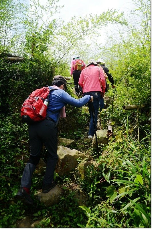 鳳凰山登山步道 1