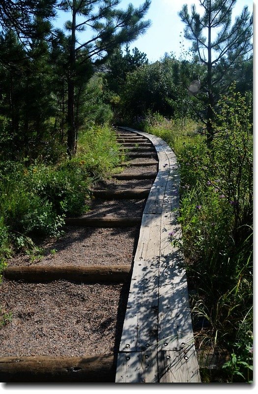 Hiking trail in White Ranch Park 3