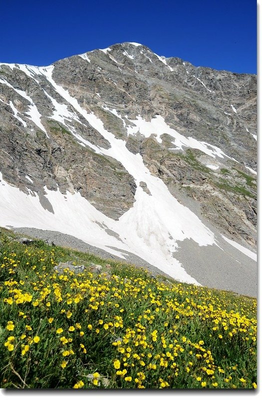 Torreys Peak from Grays&apos; slope 6