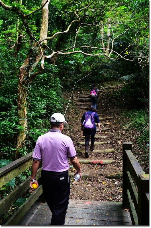 帽子山登山步道 1