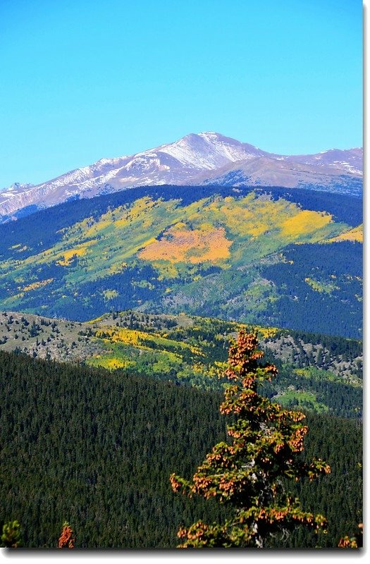 Fall colors in Squaw Pass, Colorado (9)