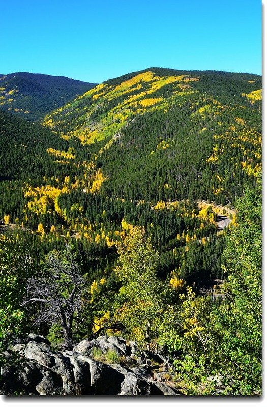 Fall colors, Mount Evans Scenic Byway, Colorado (23)
